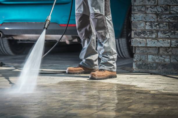 Best Dumpster Area Cleaning  in Kings Park, NY