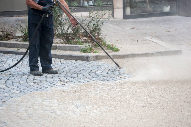 Best Patio and Deck Pressure Washing  in Kings Park, NY